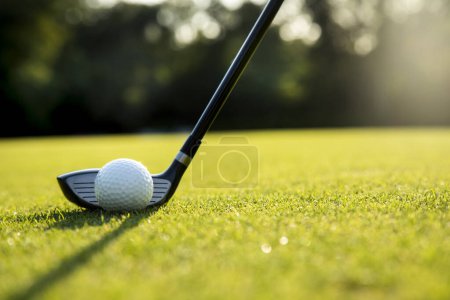 Téléchargez les photos : Balle de golf en terrain vert - en image libre de droit