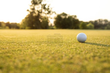 Photo for Golf ball on tee on grass - Royalty Free Image