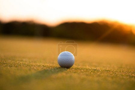 Téléchargez les photos : Balle dans le terrain de golf. - en image libre de droit
