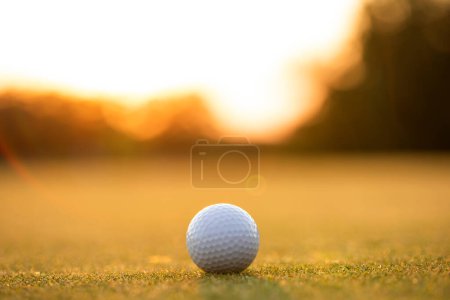 Téléchargez les photos : Balle de golf sur terrain vert - en image libre de droit