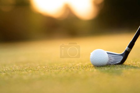 Téléchargez les photos : Gros plan d'une balle de golf avec un tee - en image libre de droit