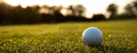 Téléchargez les photos : Gros plan de balle verte sur le terrain de golf - en image libre de droit