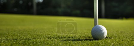 Téléchargez les photos : Balle de golf en herbe verte - en image libre de droit