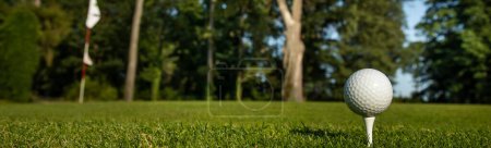 Foto de Pelota de golf en el campo verde en el bosque - Imagen libre de derechos