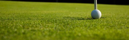 Téléchargez les photos : Balle de golf sur l'herbe verte avec un fond flou. - en image libre de droit