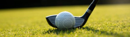 Foto de Pelota de golf sobre hierba verde - Imagen libre de derechos