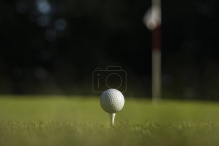 Téléchargez les photos : Club de golf et balle sur herbe verte - en image libre de droit