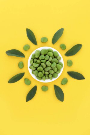 Photo for Broad bean vegetable nutritious health food abstract, high in protein, fibre, folate, antioxidants, potassium and vitamin b. Natural produce to lower cholesterol. On yellow background - Royalty Free Image