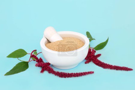Foto de Amaranth dried grain in a mortar with amaranthus plant in flower. Health food gluten free, high in antioxidants, protein. Lowers cholesterol and helps to lose weight. On blue background. - Imagen libre de derechos