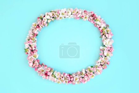 Apple blossom flower Spring wreath on blue background. Floral oval shape natural composition, Springtime flowers, pagan Beltane nature concept. Copy space, top view, flat lay.