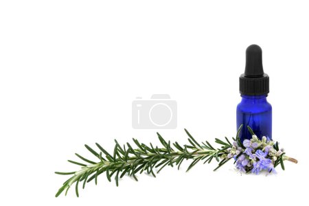 Photo for Rosemary herb herbal plant medicine and food seasoning with aromatherapy essential oil bottle. Boosts immune system, improves blood circulation, treats bronchial asthma. On white, copy space. - Royalty Free Image