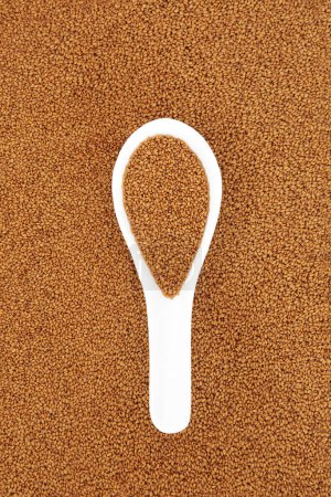 Photo for Camelina seed healthy nutritious health food in porcelain spoon on seeds background. Low cholesterol for cardiovascular benefits, vitamin E for skincare, is anti inflammatory. Top view copy space. - Royalty Free Image