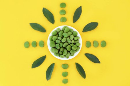 Photo for Broad bean green vegetable healthy food high in folate, fibre, antioxidants, potassium and vitamin b. Natural fresh organic produce to lower cholesterol. Abstract art design on yellow background, - Royalty Free Image
