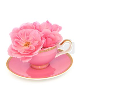 Téléchargez les photos : Arrangement rose fleur dans une tasse à thé sur blanc. Composition alimentaire amusante surréaliste. Les fleurs ont calmant, sédatif et anti-anxiété avantages pour la santé et peuvent réduire le risque de maladie cardiaque. - en image libre de droit