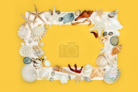 Photo for Seashell and seaweed background border with assorted white shells on yellow background with white frame. Minimal nature design with exotic and tropical varieties. - Royalty Free Image