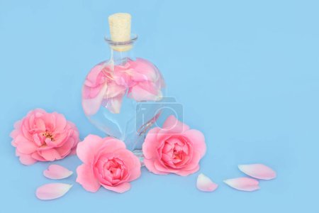Photo for Rosewater for natural skincare in heart shaped bottle with pink rose flowers and petals on blue. Can balance ph of skin oils, reduce redness, naturally hydrates skin. - Royalty Free Image