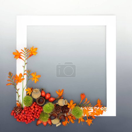 Foto de Otoño Acción de Gracias Samhain naturaleza marco de diseño con flores de lirio crocosmia, fruta de la baya y frutos secos con marco blanco en gris degradado. Tarjeta de felicitación, menú, invitación, diseño de etiquetas. - Imagen libre de derechos