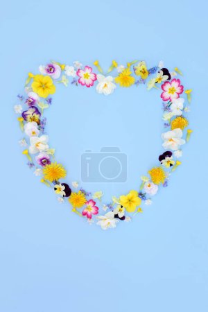 Foto de Corona floral en forma de corazón sobre fondo azul. Guirnalda de flores de primavera para el logotipo, menú, invitación, tarjeta para Beltane, San Valentín, Día de la Madre, aniversario, cumpleaños, día de la boda. - Imagen libre de derechos