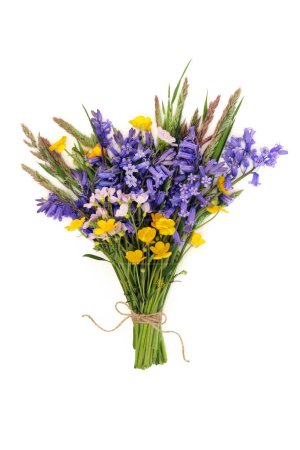 Spring wildflower arrangement posy of British flowers for Beltane on white background. Floral nature composition.