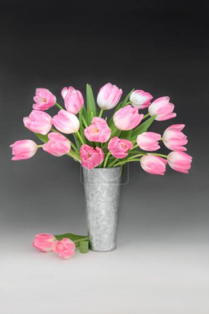 Téléchargez les photos : Arrangement de fleurs de tulipe rose printemps dans un vase en métal sur fond blanc noir dégradé. Printemps, Beltane, Fête des Mères, Anniversaire et Pâques floral nature design. - en image libre de droit