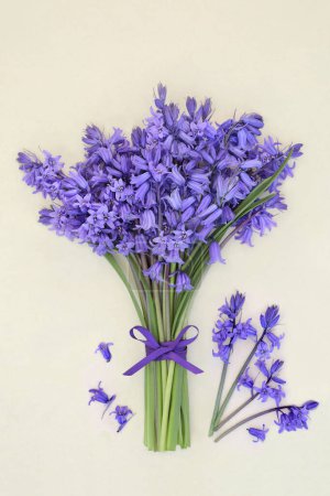 Bluebell flower posy for Spring on hemp paper tied with purple ribbon bow and loose flowers. Floral gift present card for Beltane, birthday, Mothers Day, Easter. Hyacinthoides.