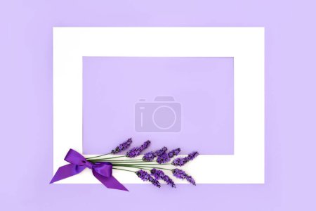 Lavendel Blume Kraut blumigen Hintergrund Grenze. Wird in der natürlichen alternativen Kräutermedizin und Aromatherapie verwendet. Gesunde Adaptogen-Lebensmitteldekoration Naturdesign auf Flieder.