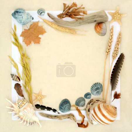 Naturobjekt Collage Hintergrundgestaltung mit Federn, Treibholz, Muscheln, Flora und Korn. Detailstudie auf Hanfpapier Hintergrund mit weißem Rahmen.
