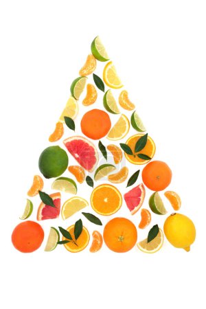 Surreal summer citrus fruit tree abstract on white background. Fun healthy fresh food concept with fruits high in antioxidants and vitamin c for immune system boost.