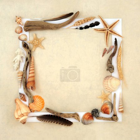 Fondo de marco de naturaleza abstracta natural con madera a la deriva, conchas marinas, plumas, granos, flora. Detalle sobre fondo de papel de cáñamo con marco blanco.