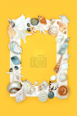 Exotic seashell background border with assorted shells on yellow background with white frame. Minimal natural nature sea life design.