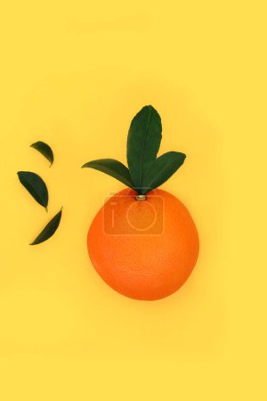 Orange Zitrusfrüchte für eine gute Gesundheit Design auf gelbem Hintergrund. Sonnenscheinnahrung im Sommer reich an Bio-Flavonoiden, Antioxidantien, Vitamin C zur Stärkung des Immunsystems.
