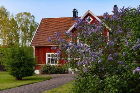 Casa tradicional de madera roja en el sureste de Suecia, en el distrito de Kalmar. La foto fue tomada en uno de los primeros días de verano..