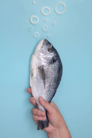 Téléchargez les photos : Homme tenant des poissons Dorada natation. Bulles d'air sous-marines de anneaux d'oignon - en image libre de droit