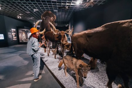 Téléchargez les photos : 26 juillet 2022, Munster, Allemagne : Fille explorant beaucoup d'animaux en peluche effrayants dans le hall du Musée d'histoire naturelle - en image libre de droit