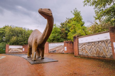 Foto de 26 de julio de 2022, Museo de Historia Natural de Munster, Alemania: Estatua de dinosaurio saurópodo en la exposición al aire libre, que demuestra los descubrimientos científicos y la teoría de la evolución - Imagen libre de derechos
