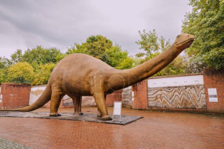 Foto de 26 de julio de 2022, Museo de Historia Natural de Munster, Alemania: Estatua de dinosaurio saurópodo en la exposición al aire libre, que demuestra los descubrimientos científicos y la teoría de la evolución - Imagen libre de derechos