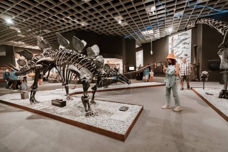 Foto de 26 de julio de 2022, Museo de Historia Natural de Munster, Alemania: Visitante en la Exposición de terroríficos esqueletos de dinosaurios del período Jurásico y Cretácico - Imagen libre de derechos