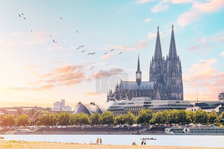 Téléchargez les photos : Vue panoramique sur la plage du Rhin et les toits de Cologne avec des oiseaux pittoresques et des silhouettes architecturales reconnaissables de la célèbre cathédrale de Koln - en image libre de droit