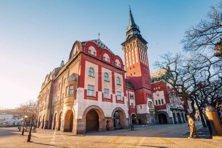 panoramic view of Subotica Town Hall as a focal point of the cityscape, its intricate decoration and grandeur attracting tourists