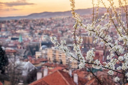 picturesque view of Sarajevo as spring transforms the cityscape, with blooming trees and colorful flowers adorning its neighborhoods.