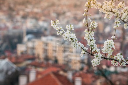 beauty of Sarajevo's traditional architecture and charming streets as spring brings new life to this European destination.