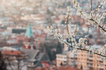 malerischer Blick auf Sarajevo, wenn der Frühling das Stadtbild verändert, mit blühenden Bäumen und bunten Blumen, die seine Viertel schmücken.
