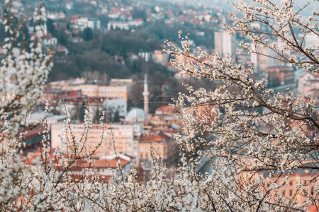 picturesque view of Sarajevo as spring transforms the cityscape, with blooming trees and colorful flowers adorning its neighborhoods.