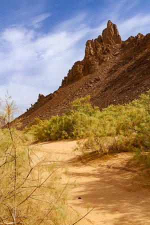 Oued Aharhar Schlucht. Schotterpiste zwischen den Felsen. Tadrartgebirge. Aharghar Canyon, Tadrart Gebirge, Tassili n 'Ajjer Nationalpark, Provinz Illizi, Djanet, Algerien, Afrika   