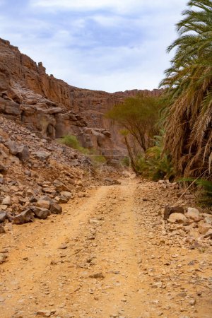Foto de Oued Aharhar Gorge. Dirt road among the rocks. Tadrart mountains. Aharghar Canyon, Tadrart mountains, Tassili n'Ajjer National Park, Illizi Province, Djanet, Algeria, Africa - Imagen libre de derechos