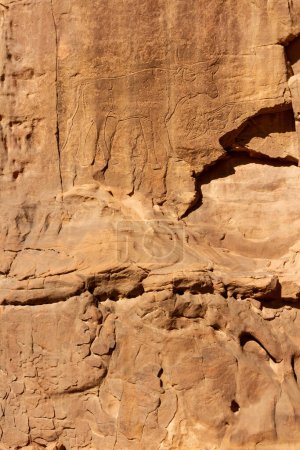 Foto de Prehistoric Petroglyphs. Beautifully preserved rock engravings  depicting  cattle. Tadrart Acacus. Tassili N'Ajjer National Park.Sahara Algeria, Africa - Imagen libre de derechos