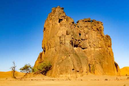 Foto de Increíble formación rocosa con el famoso grabado rocoso de una vaca llorando (La Vache Qui Pleure) cerca de Djanet. Parque Nacional de Tassili nAjjer, Argelia, África - Imagen libre de derechos