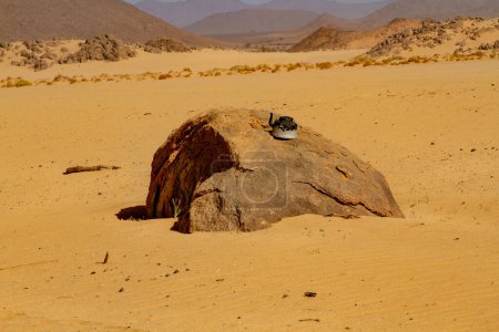 Photo for Tuareg traditional tea pot in Sahara desert. An old, burnt tea kettle lying on a large boulder. Tassili n'Ajjer National Park, Algeria, Sahara, Africa - Royalty Free Image