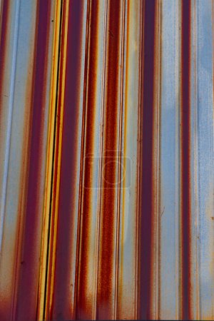 Photo for Close-up. Old rusty corrugated sheet. Coloured striped background. - Royalty Free Image