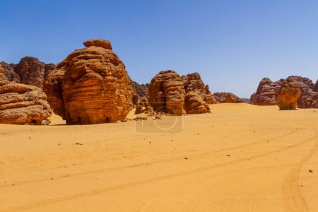 Photo for Stone forest. A sandstone rock anf cliffs formations in astonishing shapes. Tadrart mountains. Plateau of rivers, Tassili N'Ajjer National Park. Algeria, Africa - Royalty Free Image